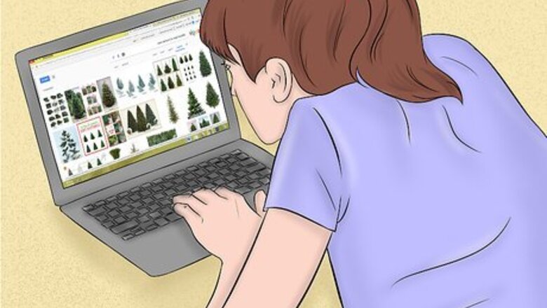 How to Create a Christmas Tree Forest