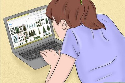 How to Create a Christmas Tree Forest