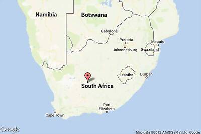 Scientists discover fossil of oldest land-living creature of Gondwana