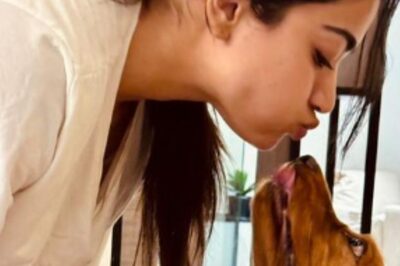 Rashmika Mandanna Shares Christmas Greetings With Her Pet Dog Aura; Photo