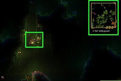 How to Find and Use Jungle Vines in Terraria: Simple Guide