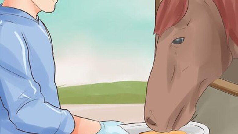 How to Treat Stomach Ulcers in Horses