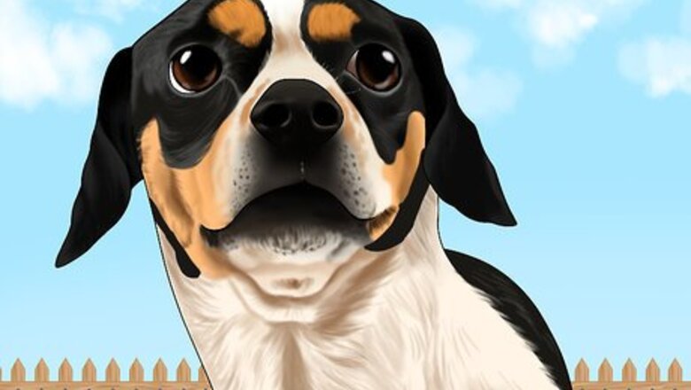 How to Stop Your Dog from Running Out of the Backyard