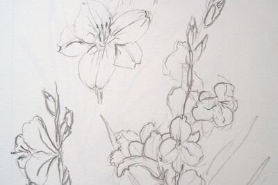 How to Paint Gladioli in Watercolor