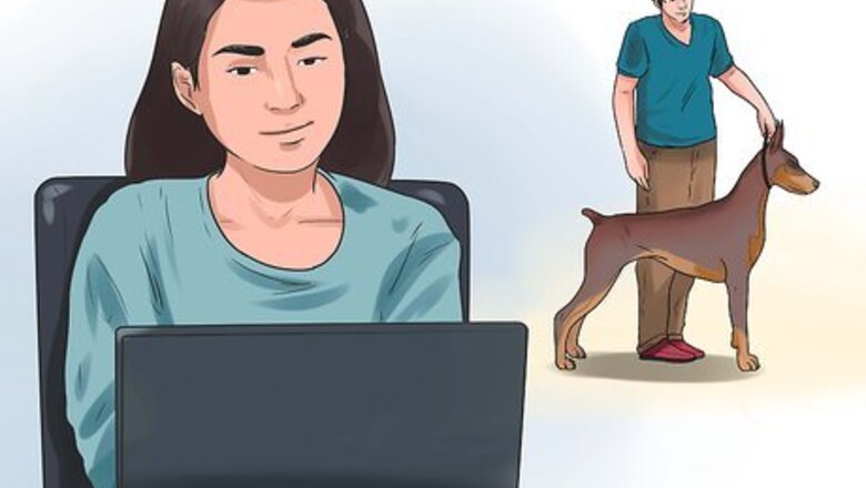 How to Become a Dog Show Handler