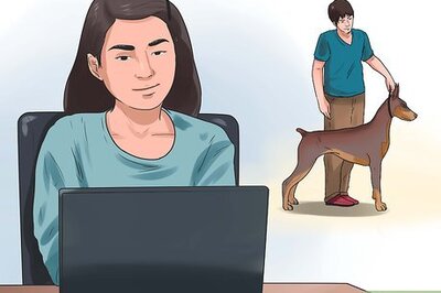 How to Become a Dog Show Handler