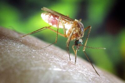 Bhopal Health Department Launches Campaign to Fight Against Mosquito-borne Diseases