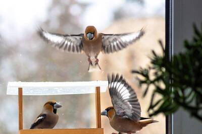 World Nature Conservation Day 2021: Activities You can do at Home to Conserve Nature