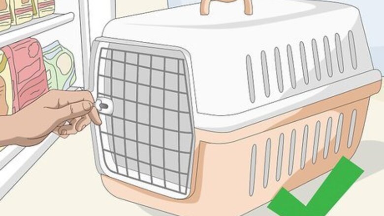 How to Buy Necessary Supplies for Your New Cat