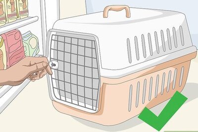 How to Buy Necessary Supplies for Your New Cat