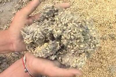 EGoM okays Rs 352 cr relief for 4 states to replant horti crops