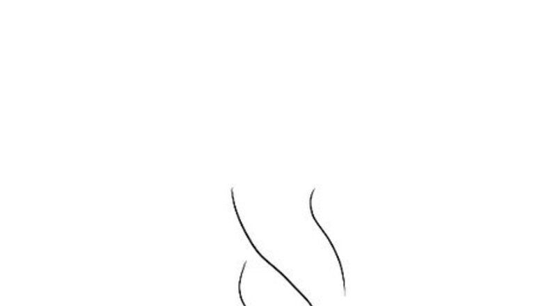 How to Draw an Olive Tree