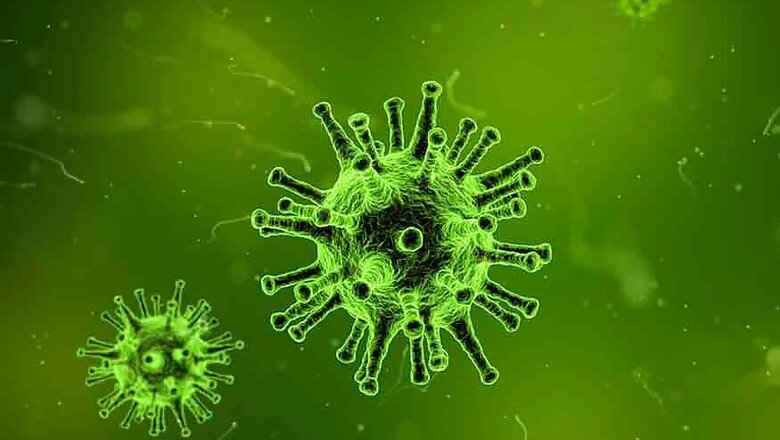 Scrub Typhus Grips Nagpur, Death Toll Rises to 12