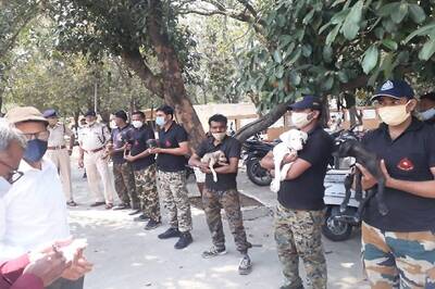 In a First, Desi Dogs to Train with Foreign Breeds in Bhopal School on PM Modi's Initiative