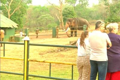 After The Elephant Whisperers’ Oscar Win, People Make A Bee-Line To Meet Raghu