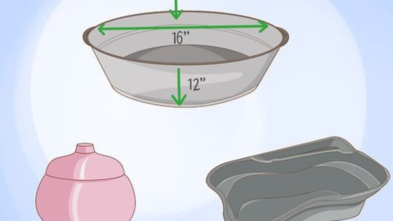 How to Grow an Edible Pond