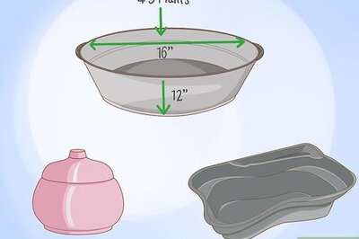 How to Grow an Edible Pond