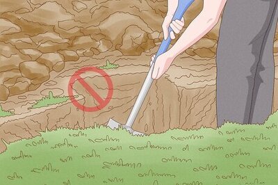 How to Clear Underbrush