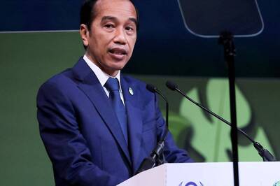 Russia-Ukraine War: Zelensky, Putin Invited to G20 Summit, Says Indonesian Prez