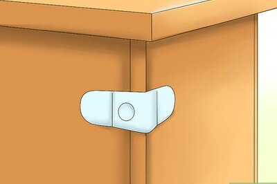 How to Kitten Proof Your Home