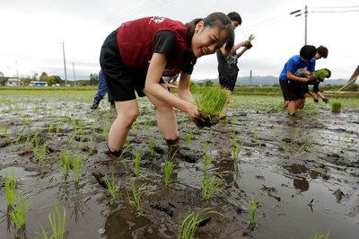 As Fukushima Residents Return, Some See Hope in Nuclear Tourism
