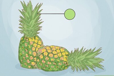 How to Plant & Grow a Pineapple at Home