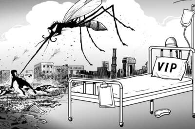 National Dengue Day 2019: 5 Ways to Keep Mosquitoes at Bay