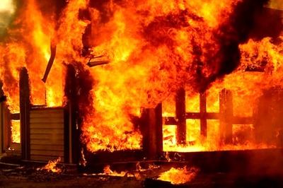 Fire Breaks Out in Mumbai's Aarey Colony Forest Area, Three Fire Engines On Spot; No Injury Reported