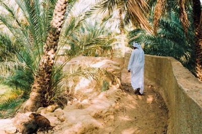 World Tourism Day 2022: Six Places To Visit For Cultural Immersion In Abu Dhabi