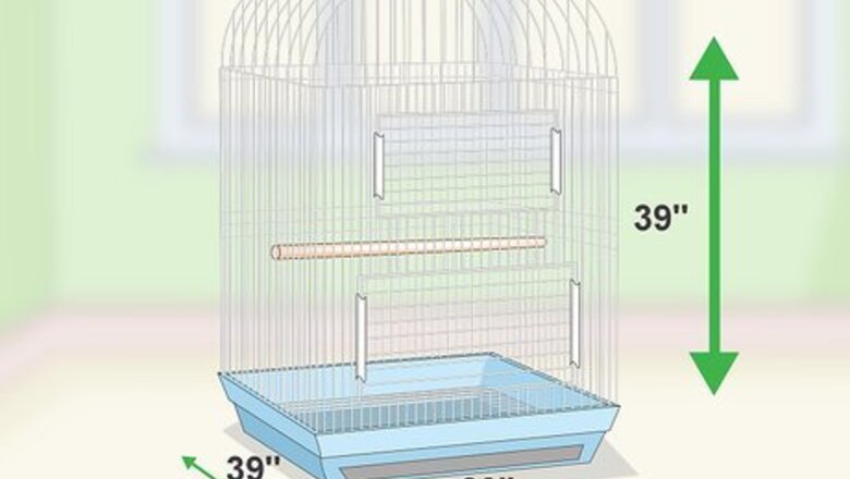 How to Set Up an Amazon Parrot Habitat
