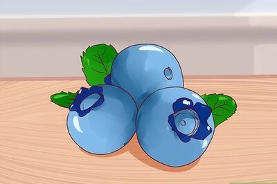 How to Maximize Sperm Count