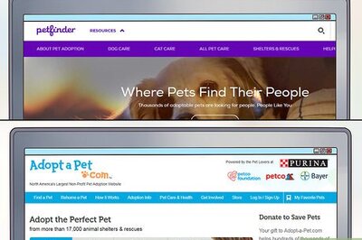 Rehoming Your Dog: The Right Way