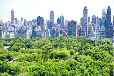 New York's Central Park Goes Officially Car-Free