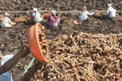 A Haldi Interest: Why BJP's Nizamabad MP Wants Turmeric to Be Part of Agriculture ahead of Telangana Polls