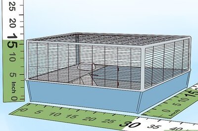 How to Prepare a Hamster Cage