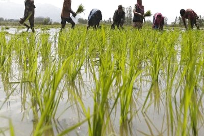 Less Than 2% Himachal Farmers Opted for Crop Insurance: CAG