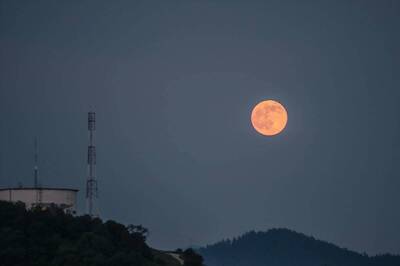 Strawberry Moon 2021: Will Full Moon be Visible in India on Vat Purnima? Check Date, Time and Other Details