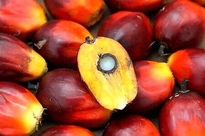 Malaysia July-end palm oil stocks expected to hit 3-year low