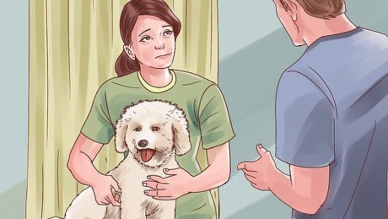 How to Help Your Dog Through Physical Therapy