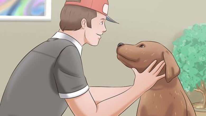 How to Tame a Dog