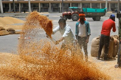 Govt Likely To Consider Importing Wheat To Cool Retail Prices: Reports