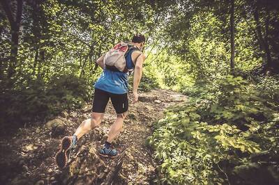 'Sleep Like a Champion, Train Like a Champion, Eat Like a Champion': Dr Andrew Murray