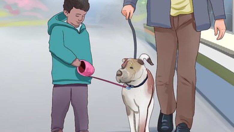 How to Walk a Big Dog As a Kid