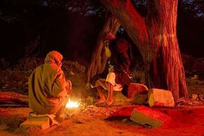 Cold Wave Continues in Haryana, Punjab, Hisar Coldest at Minus 1.2 Degree Celsius