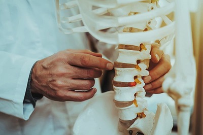 Impact Of Ageing On Bones And How Skeleton Regenerates In Every 10 Years