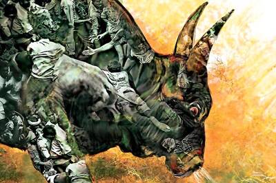 OPINION | Jallikattu May be Important to Save Indigenous Bull Breeds, But It's Not Enough