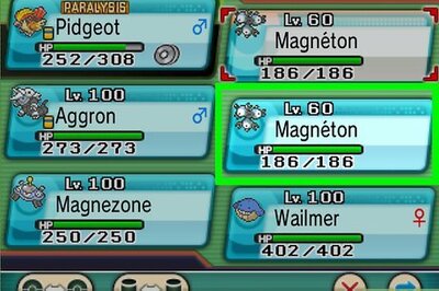 How to Evolve Magneton