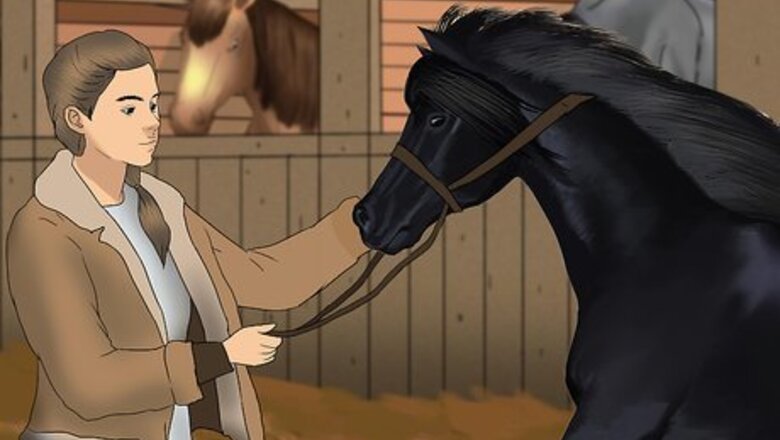 How to Care for a Blind Horse