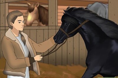 How to Care for a Blind Horse