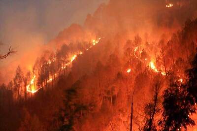 Forest Fire Claims 5 Lives in Uttarakhand, NDRF Companies Deployed